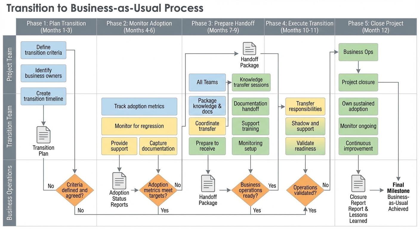 Figure 13.4: Transition to Business-as-Usual Process